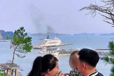 Gia đình trẻ 3 người thoát ch;e;t không lên tàu Vịnh Xanh 58 vì con ngủ quên: Bất ngờ bị b;ó;c câu view, hóa ra chỉ là lừa dối?