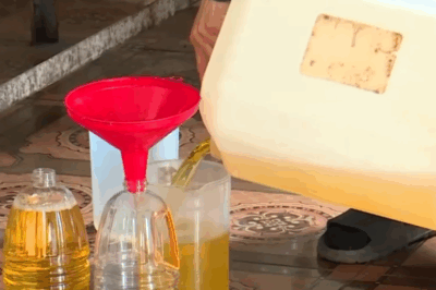 Lo mua phải dầu ăn giả, nhiều người chọn làm cách này để có dầu sử dụng – liệu có phải là tốt nhất không?