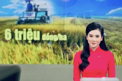 BTV duy nhất không xưng tên thật khi lên sóng: Trùng hợp hay đ;;iềm b’áo vận h;ạn thần số học con số năm sinh này